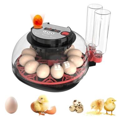Imagem de Zjyufy Incubadora de 12 ovos com rotação automática de ovos e incubadora de controle de umidade para chocar ovos de galinha, ovos de codorna de pato