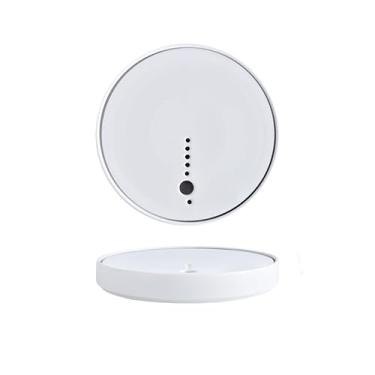 Imagem de Kamelar.Lava Bandeja de sushi de gelo seco, prato de sashimi de sushi, prato de cerâmica, prato de sashimi de carne japonesa, prato de comida de gelo seco, prato de 28 cm (prato branco de panela