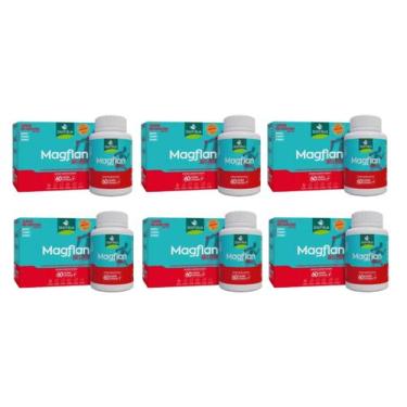Imagem de Kit 6 Suplemento Alimentar Magflan Arti-flex 60 Cápsulas - Biofhitus