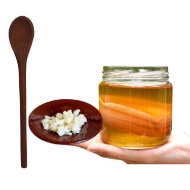 Imagem de Scoby Kombucha Original Fermentação Caseira + Colher de Pau + Kefir de Coco