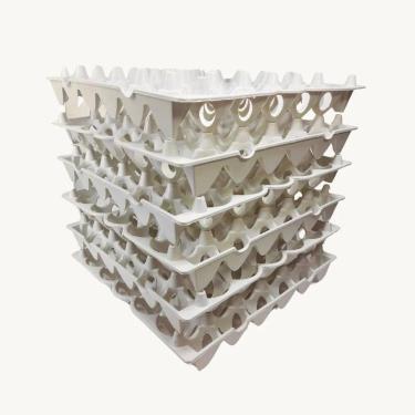 Imagem de 2X Kit Com 6 Bandejas Plásticas Para Ovos Organiza Geladeira