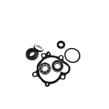 Imagem de Kit Completo Reparo Bomba Agua Ninja 300 Todas