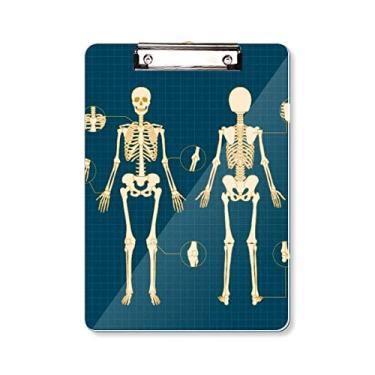 Imagem de Skeleton Ilustration Prancheta de esqueleto humano, pasta, bloco de escrita A4