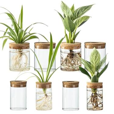 Imagem de Estações de propagação de plantas de vidro para plantas – conjunto de 4 vasos hidropônicos (4 grandes e 4 pequenos) para mudas de plantas, arranjos de flores, decoração de casa e escritório - vasos de