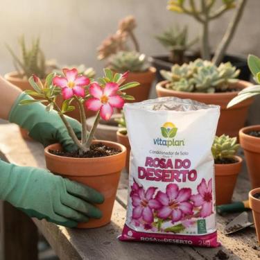 Imagem de Substrato Terra Especial Preparo Para Rosas Do Deserto Vitaplan - 2kg