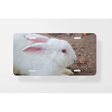 Imagem de Capa para placa de carro vermelha de coelho e olho de coelho branco – Capa para placa de carro – Capa para moldura de placa de carro 15 x 30 cm