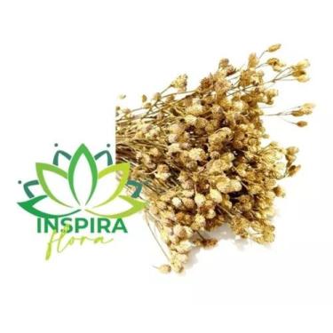 Imagem de Buque Desidratado Dourado Arranjo Casamento Decoração Vaso - FLORA FUL
