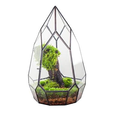 Imagem de NCYP Recipiente de terrário geométrico de vidro preto moderno com porta - Vaso de flores de exibição DIY para samambaia suculenta - Jardim de fadas botânico em miniatura de mesa (sem plantas)