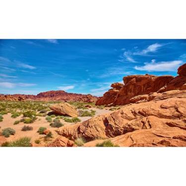 Imagem de Fundo de tanque de répteis Red Rocks Sunset Gobi Desert Reptile Enclosure Background Desert Rocky Bush Thorns Wilderness Reptile Habitat Backgrounds Bearded Dragon Aquarium Tank Backgrounds 152 x 61