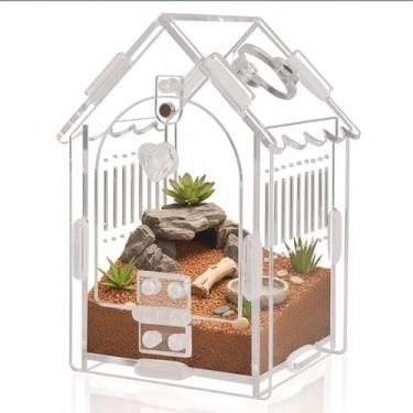 Imagem de Cilkus Caixa de aranha saltadora, tanque de terrário de répteis de acrílico de abertura frontal com trava magnética, compartimento transparente para répteis para tarântulas, lagartixas, louva-a-deus e