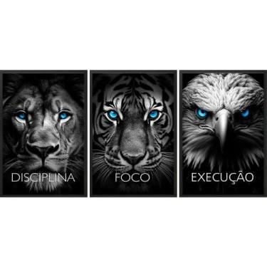 Imagem de Kit 3 Quadros Animais Disciplina Foco Execução 33x24cm - com vidro - Q
