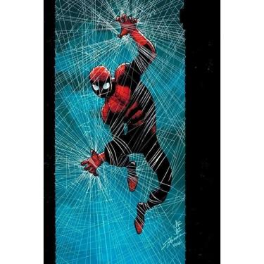 Imagem de O Espetacular Homem-Aranha - Vol. 77