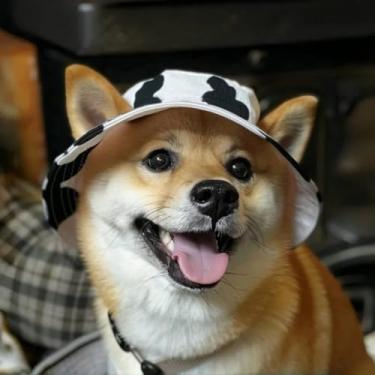 Imagem de Chapéu de pescador animal de estimação estampa de vaca elegante boné ajustável para cães moderno gato proteção solar acessório para cabeça adequado para 8 a 13 kg