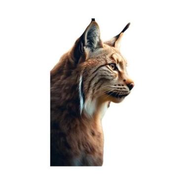 Imagem de Pintura Em Tela Sem Moldura Com Tema De Animal Lince Para Decoração De