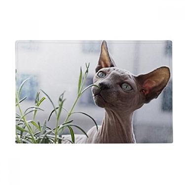 Imagem de DIYthinker Tapete para fotografia de gato fino cinza animal tapete antiderrapante tapete para porta de banheiro