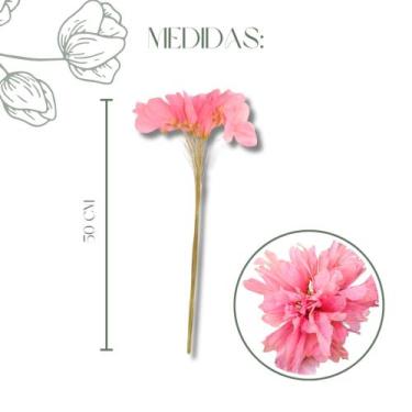 Imagem de Buquê Folha De Magnólia Libélula Esqueletizada Cores - FLORA FULL, Ros