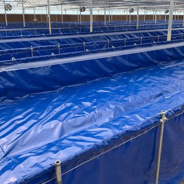 Imagem de Forro De Lagoa Para Piscinas De Peixes E Fontes E Córregos, Forros De Cama De Lagoa De Peixes Flexíveis Pesados Filme Impermeável Durável Dobrável, Blue, 3x2x1m