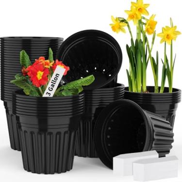 Imagem de BeapTcely Vaso de berçário de plantas de galão com etiquetas de plantas, vasos de plástico para iniciação de sementes com orifício de drenagem para transplante de mudas (100, 3 galões)