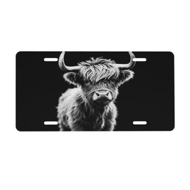 Imagem de Placa de matrícula frontal de casa de fazenda rústica, preta, cinza, placas decorativas de alumínio, placa de carro de metal, 15 x 30 cm, novidade com 4 furos, acessório de decoração de carro