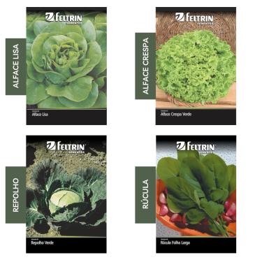 Imagem de Kit 4 Sementes Hortaliças Salada Horta Em Casa Jardins Vasos(Alface Crespa, Alface Lisa, Repolho, Rúcula)
