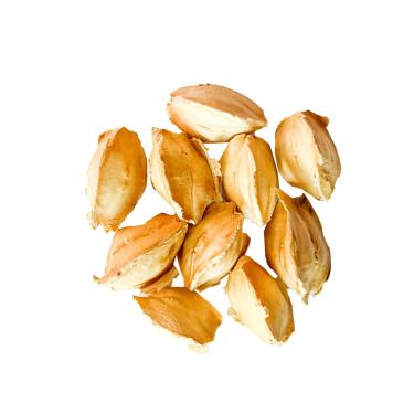 Imagem de 10 Sementes de Moringa Stenopetala Para Plantio e Mudas e Silagem