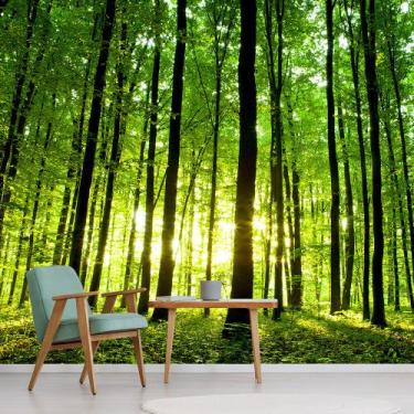 Imagem de Papel de Parede Paisagem Floresta Natureza Sala Painel - 061pcp - Allo