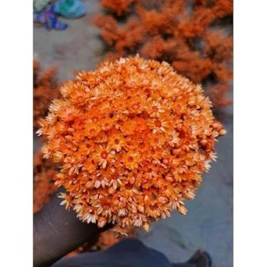 Imagem de Flor Sempre-Viva Natural Desidratada Kit 300 600 1200 Flores – Decoração Festa Casamento e Arranjos Artesanais (Laranja,150 flores (1 buquê))