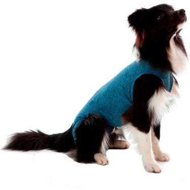 Imagem de Roupa Pós Castração Pet Med Duo Dry Azul para Cães Macho - Tam. 01