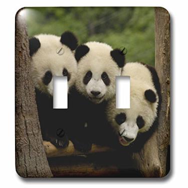 Imagem de 3dRose lsp_70209_2 Ursos Panda Gigantes, Conservação Wolong, Interruptor de Interruptor Duplo da China