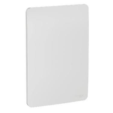 Imagem de Orion placa cega 4x2 gamma silver (prata) - SCHNEIDER