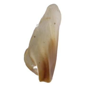 Imagem de Orelha  bovina natural desidratada - 1 pc - Padaria Pet