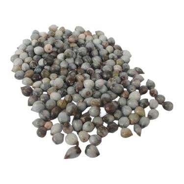 Imagem de Lágrima De Nossa Senhora 20grs - Oferta