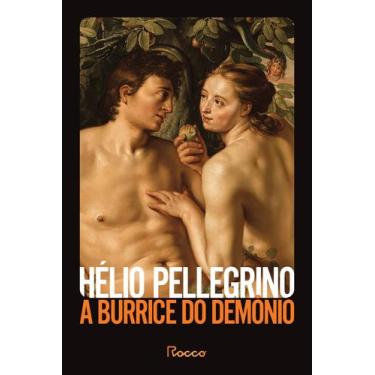 Imagem de Livro - A burrice do demônio