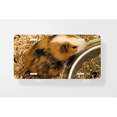 Imagem de Capa para placa de carro do porquinho da Guiné 3 – Capa para placa de carro – Capa para moldura da placa de carro 15 x 30 cm