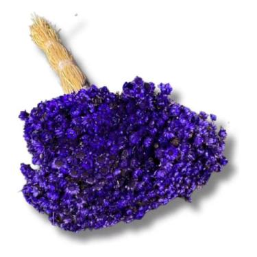 Imagem de Flor Sempre Viva 1.500un Colorido Decoração Lembrancinha - FLORA FULL,