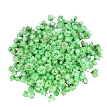 Imagem de Buque de Flores Artificiais Sempre Viva - Kit com 1.600 Flores, Tipo 1 Extra, Arranjo Decorativo para Presentes e Decoração(Verde Claro,4 buquês (800 florzinhas))