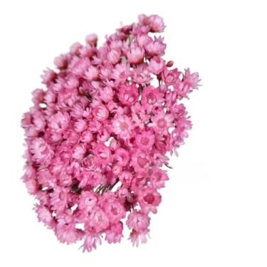 Imagem de Buque de Flores Artificiais Sempre Viva - Kit com 1.600 Flores, Tipo 1 Extra, Arranjo Decorativo para Presentes e Decoração(Rosa Bebê,4 buquês (800 florzinhas))