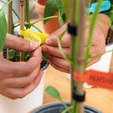 Imagem de Pacote com 32 etiquetas de cabos multicoloridas graváveis com fecho reutilizável de gancho e laço para gerenciamento de cabos, organização de fios e identificação e identificação (4,5 x 2 cm)