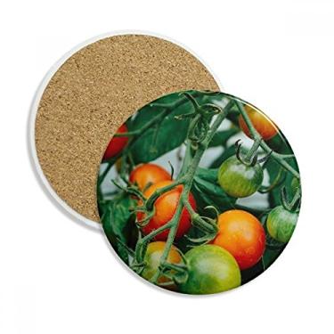 Imagem de Caneca de porta-copos com imagem de árvore de frutas frescas temperadas para proteção de mesa, pedra absorvente