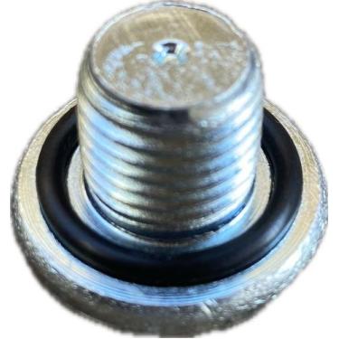 Imagem de Parafuso Bujão Carter Vectra Astra Zafira C/ Anel - GM/Chevrolet