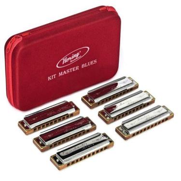 Imagem de Kit Gaita de Boca Master Blues com 6 gaitas 20 vozes  - Hering - Herin