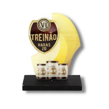 Imagem de Troféu em Acrílico Corte Especial Personalizado 15x20cm 3mm - Império 