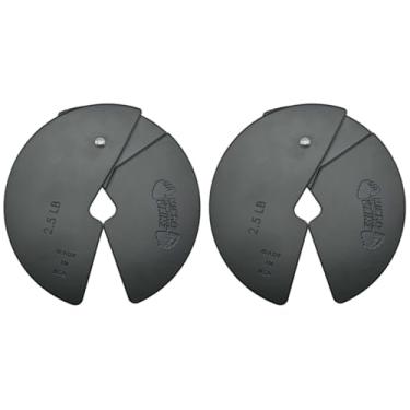 Imagem de Micro Gainz NEW 2.5LB Dumbbell Fractional Weight Plates 2 Piece- Designed for Dumbbell Training and Micro Loading, Made in USA