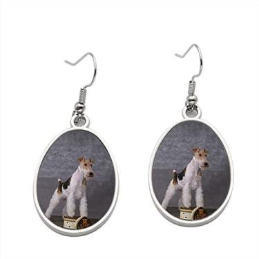 Imagem de Brincos para cães e caixas de presente – Brincos pendurados para meninas – Presente de festa de aniversário dos namorados