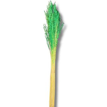 Imagem de Buquê Flor De Vassoura Cores Natural Arranjo Decoração Festa - Flora F