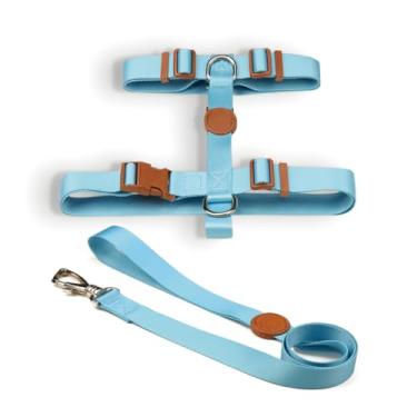 Imagem de Coleira Peitoral H e Guia para Cachorro Fita Premium 100% Poliéster Fecho Resistente(Azul,P)