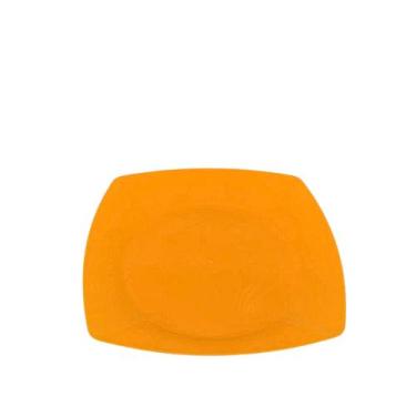 Imagem de Prato de festa e churrasco acrilico descartavel grande 21cm- 20 unidad