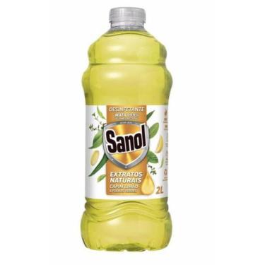 Imagem de Desinfetante sanol extratos naturais capim limao e folhas verdes 2l