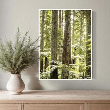 Imagem de Quadro Decorativo Floresta Natureza 62x47cm S Vidro Cor moldura - Deco