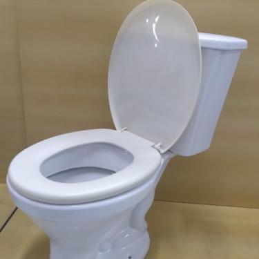 Imagem de Assento Tampa Vaso Sanitário Oval Universal Não Almofadado Resistente Confortável Diversas Cores(BEGE CLARO - BG8)